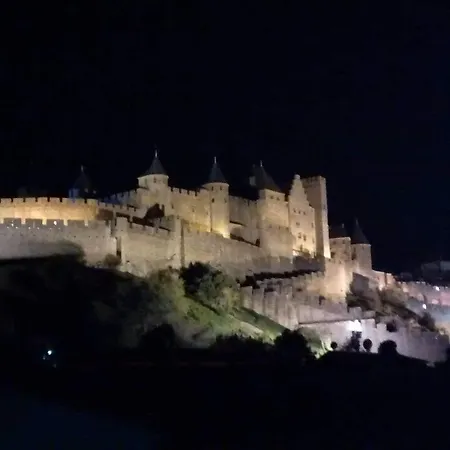 T2 Climatise A 10 Minutes A Pied De La Cite Апартаменты Каркассон